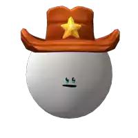 a cowboy hat with a yellow star on it