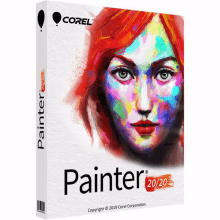 a box for painter 20/20 with a woman 's face on the cover