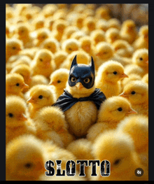 a bunch of yellow chicks with the word slotto on the bottom