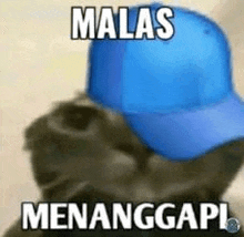 a dog wearing a blue baseball cap with the words `` malas menanggapi '' written on it .