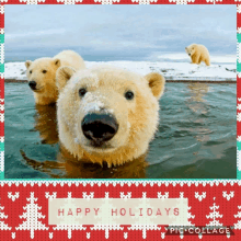 a christmas card with polar bears and the words happy holidays on the bottom