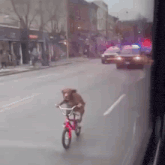 a dog is riding a red bike down a city street