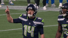 a football player wearing a jersey with the number 14