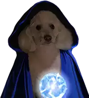 a dog wearing a blue cape is holding a glowing ball