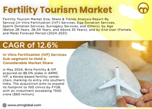 an advertisement for fertility tourism market shows a person holding a toy airplane