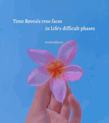 a hand holding a pink flower with a quote behind it