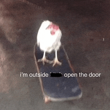 a chicken on a skateboard with the words i 'm outside open the door below it