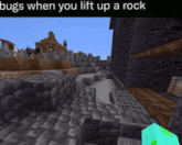 a screenshot of a video game with a caption that says bugs when you lift up a rock