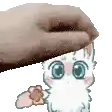 a hand is holding a white cat 's head in front of a white background .