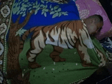 a man is wrapped in a blanket with a tiger on it