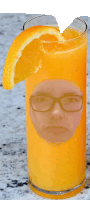 a glass of orange juice with a slice of orange in it