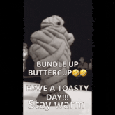 a bundle up buttercup have a toasty day !! stay warm .
