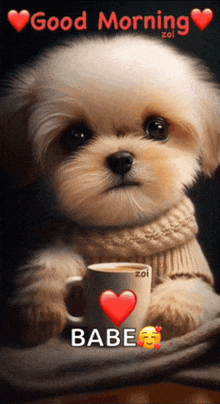 a puppy holding a cup of coffee with the words " good morning babe "