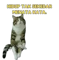 a cat sitting on a white surface with the words hidup tak sekedar menata kata