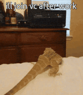 a bearded dragon laying on a bed with the words ill join vc after work