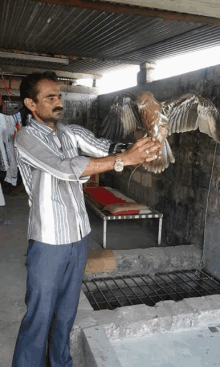 a man in a striped shirt is holding a bird with its wings outstretched