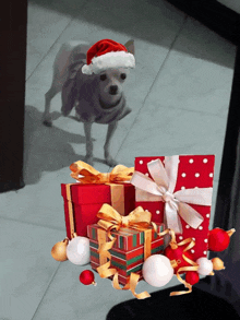 a small dog wearing a santa hat stands in front of a pile of christmas presents