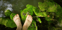 a woman 's feet are painted with the words culture and nature