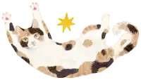 a calico cat is laying on its back with its paws up