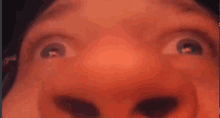 a close up of a person 's face with their eyes closed and their nose visible .