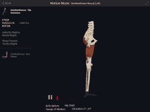 a screen showing a skeleton and muscles with the motion mode displayed