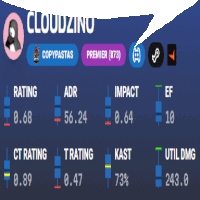 a screenshot of cloudzino 's profile with a penguin on it