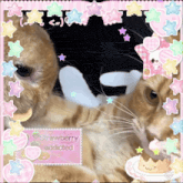 a picture of two cats with a strawberry addicted sticker