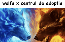 a picture of two wolves with the words wolfe x centrul de adoptie above them