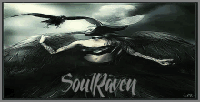 a picture of a woman with a crow and the words soul raven