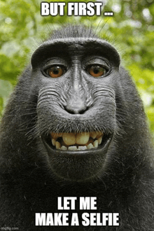 a monkey is smiling with a caption that says `` but first ... let me make a selfie ''
