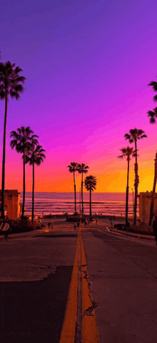 a sunset with palm trees in the foreground