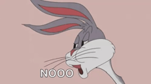 bugs bunny from looney tunes is making a funny face with the word nooo below him