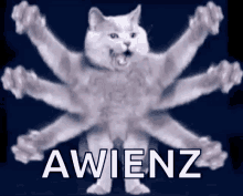 a white cat with many arms is standing in front of a black background with the word awenz .