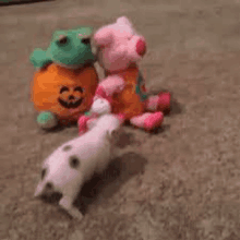 a group of stuffed animals including a frog and a pig are sitting on the floor .