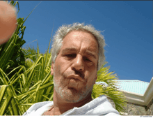 a man with gray hair and a beard is taking a selfie with a palm tree in the background