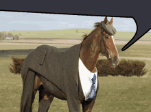 a horse wearing a suit and tie stands in a grassy field