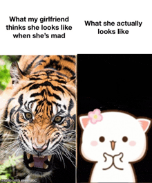 what my girlfriend thinks she looks like when she 's mad what she actually looks like imgflip.com memematic