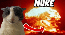 a cat is standing in front of an explosion with the word nuke written above it