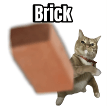 a cat kicking a brick with the word brick behind it