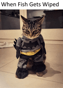 a cat in a batman costume is sitting on a tiled floor