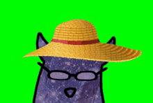 a cartoon cat wearing a straw hat and glasses on a green screen