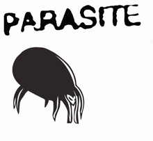 a black and white drawing of a dust mite with the word parasite above it