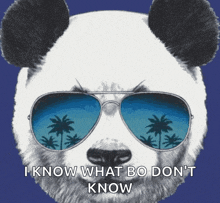 a panda bear wearing sunglasses says " i know what bo don t know "