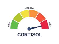 a speedometer with the word cortisol at the top