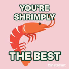 an illustration of a shrimp with the words you 're shrimply the best