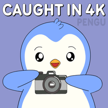 a penguin is taking a picture with the words caught in 4k penguin