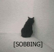 a black cat is sitting in the corner of a room with the word sobbing written on the bottom .