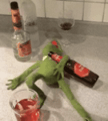 a kermit the frog is laying on a table with a bottle of beer and a glass of red liquid .