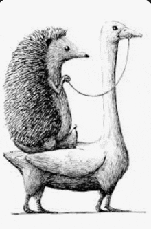 a black and white drawing of a hedgehog sitting on top of a goose