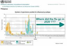 a graph showing where the flu went in 2020